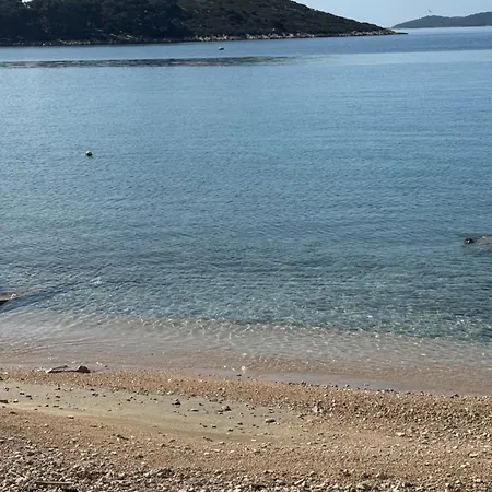 Galeb Daire