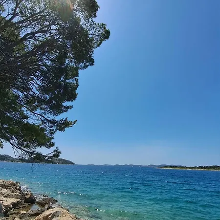 Galeb
